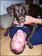 Duncan, a chocolate Labrador, sits on top of his owner, David Buetow.